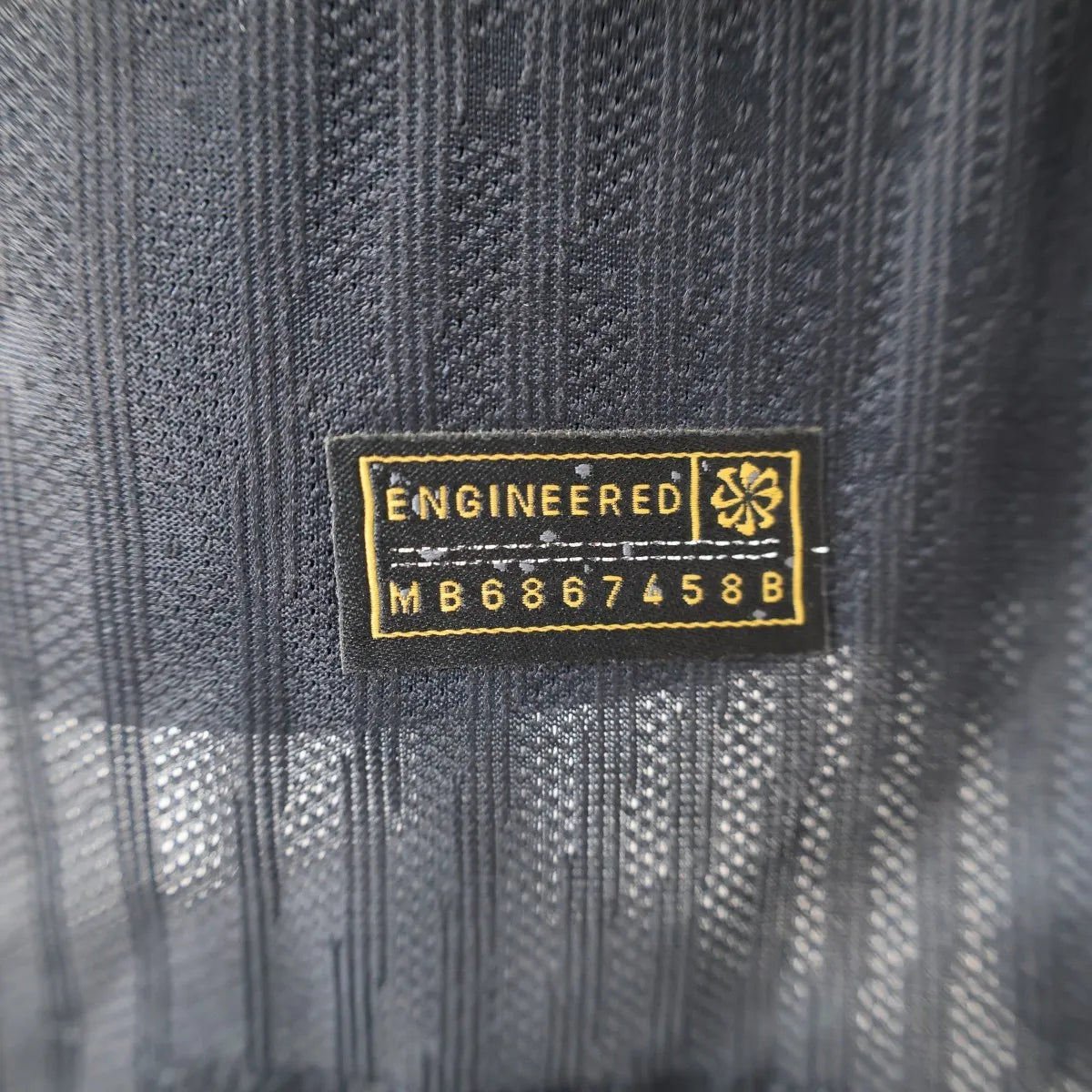 Barcelona "Blauwe Leeuw"